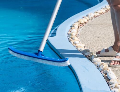 Why Professional Pool Opening Service is a Must?